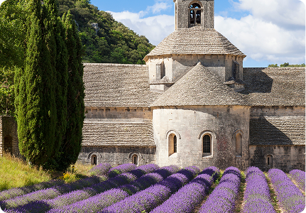 Special Lavender Tour Provence & Languedoc & Camargueic